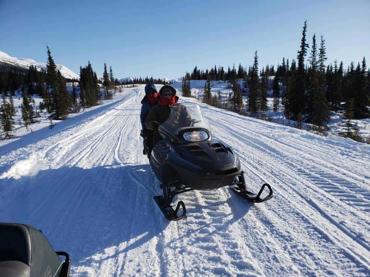 Denali Wild Stay - Moose Cabin, Free Wifi, 2 Private Bedrooms, Sleep 6 Healy Ngoại thất bức ảnh