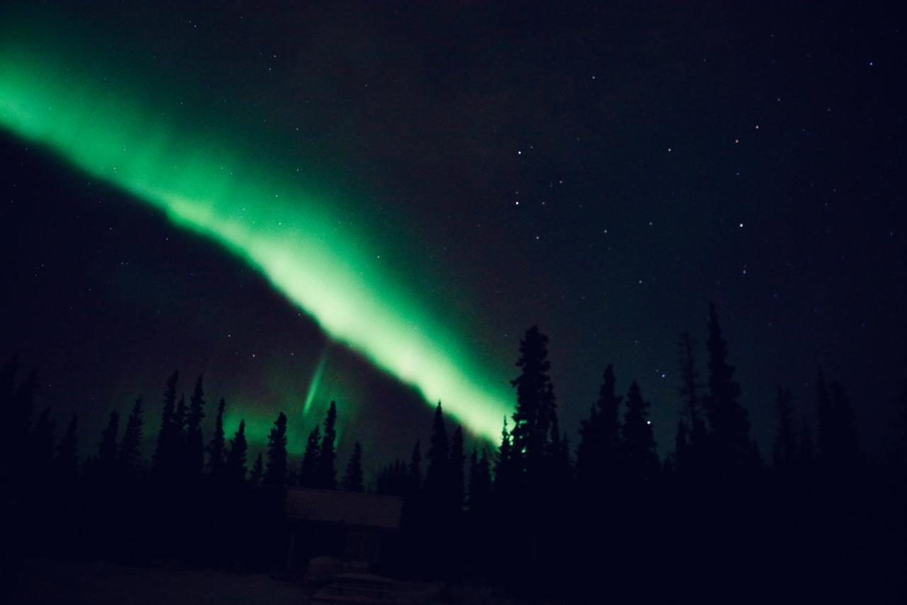 Denali Wild Stay - Moose Cabin, Free Wifi, 2 Private Bedrooms, Sleep 6 Healy Ngoại thất bức ảnh