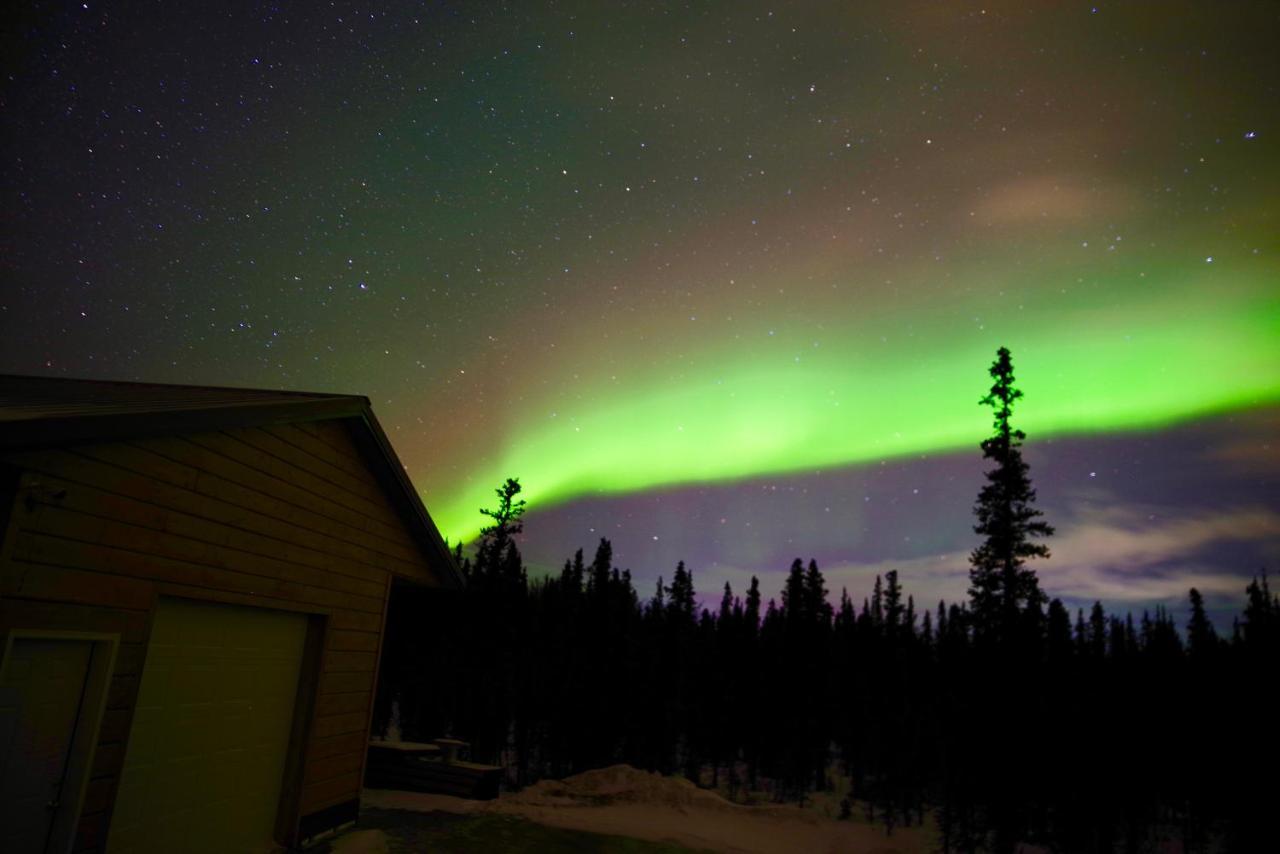 Denali Wild Stay - Moose Cabin, Free Wifi, 2 Private Bedrooms, Sleep 6 Healy Ngoại thất bức ảnh