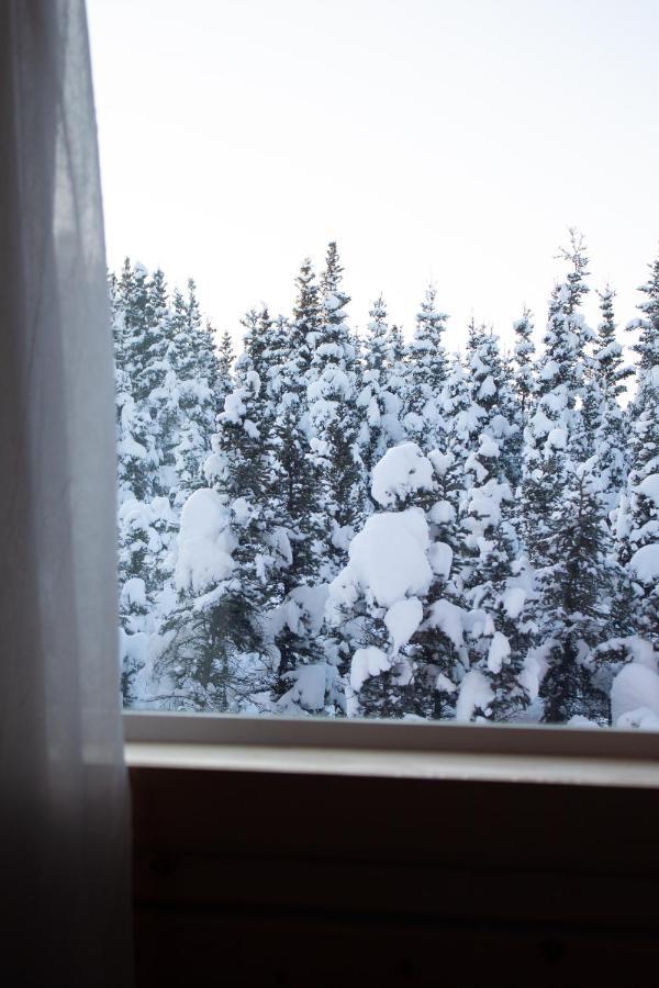 Denali Wild Stay - Moose Cabin, Free Wifi, 2 Private Bedrooms, Sleep 6 Healy Ngoại thất bức ảnh