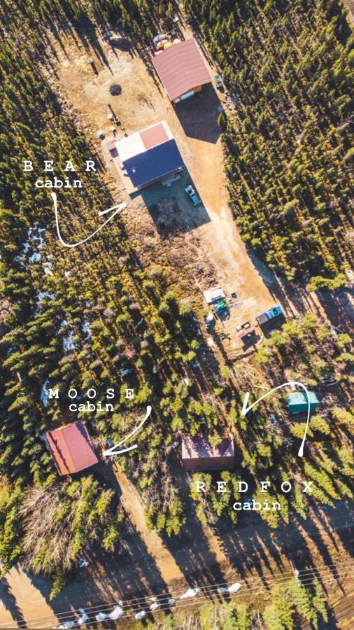 Denali Wild Stay - Moose Cabin, Free Wifi, 2 Private Bedrooms, Sleep 6 Healy Ngoại thất bức ảnh