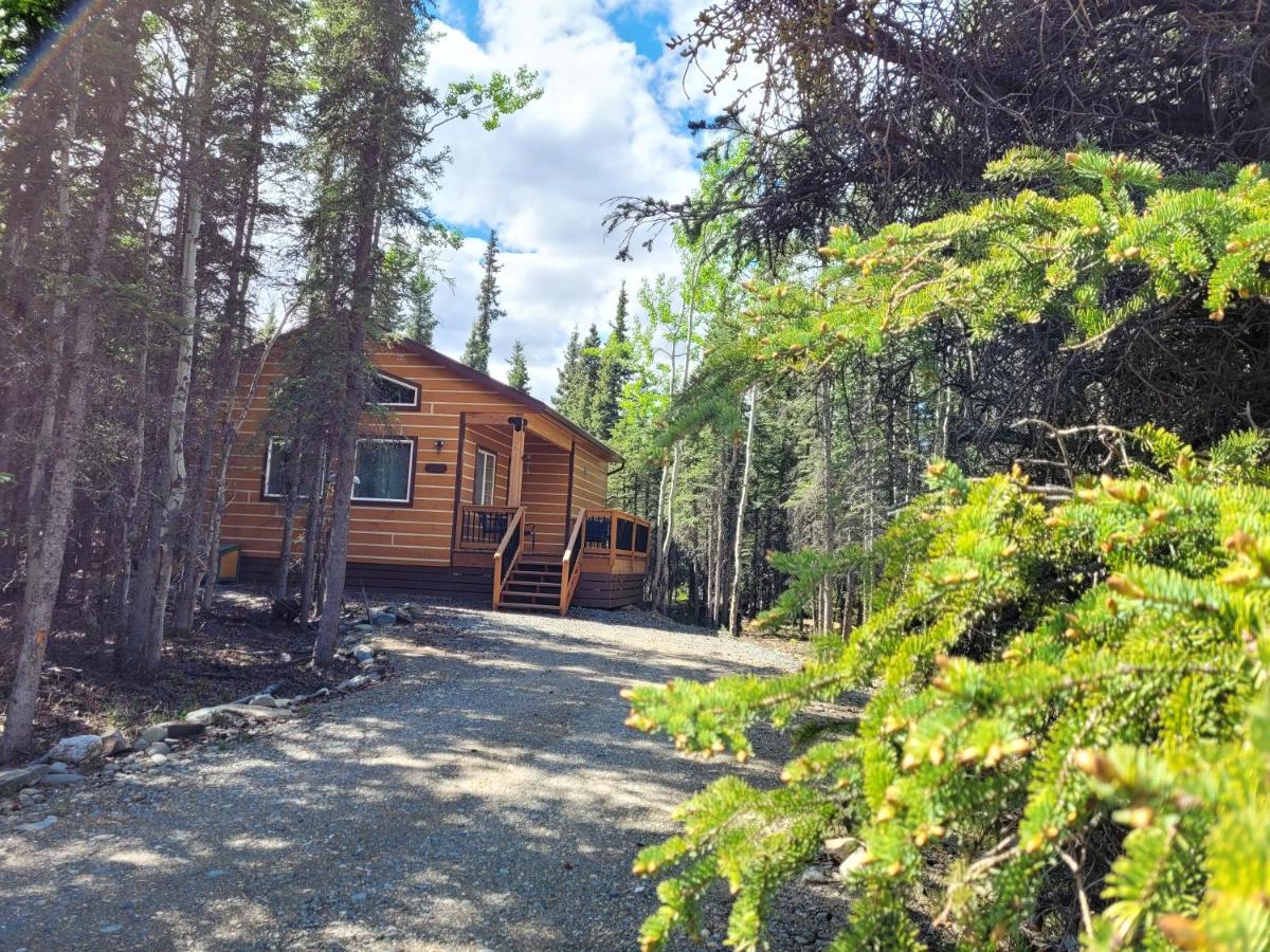 Denali Wild Stay - Moose Cabin, Free Wifi, 2 Private Bedrooms, Sleep 6 Healy Ngoại thất bức ảnh